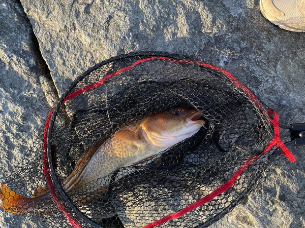 Think Different - Why Trying Something New Can Change Your Fishing Game