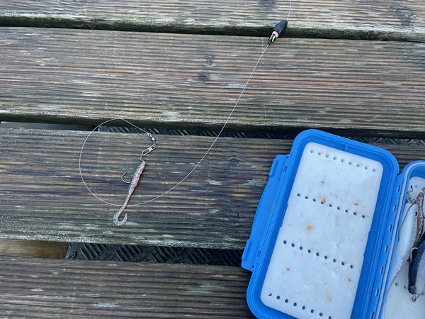 Fishing with Rig Setups